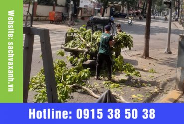 Dịch vụ chăm sóc cây xanh đô thị tại Biên Hòa – Báo giá qua 0915385038