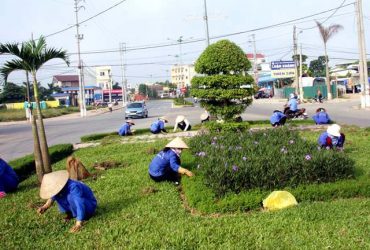 Chăm sóc cây xanh Biên Hòa – Sạch & Xanh
