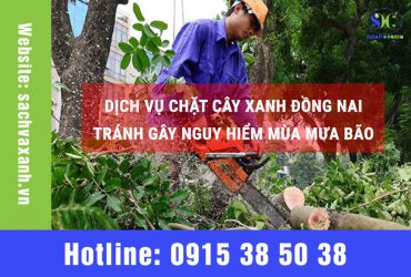 Dịch vụ chặt cây xanh tại Đồng Nai – Tránh gây nguy hiểm mùa mưa bão